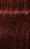 IGORA ROYAL Absolutes, 6/80, темный русый красный натуральный, крем-краска, 60 мл