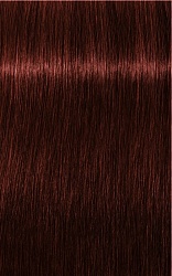 IGORA ROYAL Absolutes, 5/80, светлый коричневый красный натуральный, крем-краска, 60 мл