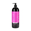 TNL Professional, шампунь защита цвета окрашеных волос с аминокислотами 1000 мл.