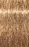 IGORA ROYAL Absolutes, 9/560, блондин золотистый шоколадный натуральный, крем-краска, 60 мл