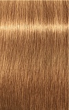 IGORA ROYAL Absolutes, 9/60, блондин шоколадный натуральный, крем-краска, 60 мл